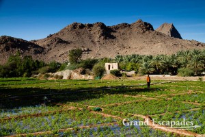 Wadi close to Tanuf Ruins, Sultanat of Oman, Arabic Peninsula