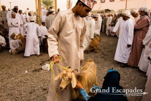 Cattle Market in Nizwa on Friday Morning, Sultanat of Oman, Arabic Peninsula