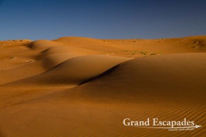 Sand Dunes, Wahiba Sands, or Ramlat al-Wahiba (also called Sharqiya Sands), Sultanat of Oman, Arabic Peninsula