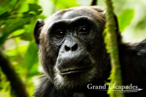 Uganda – Photo Gallery