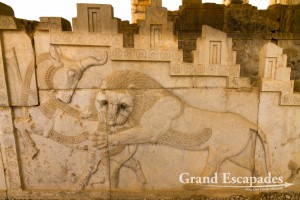 Persepolis - The Apadana, Persepolis & Pasargadae, Iran