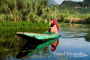 Golden Dal, Lake Dal, Srinagar, Kashmir, India