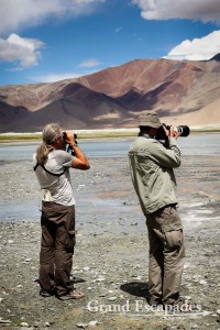 Gilles & Yann spoting Ladakhi wildlife, Tso Kar, Ladakh, Indi