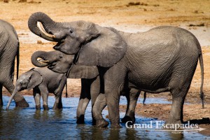 Grand Escapades’ Travel Guide To Zimbabwe