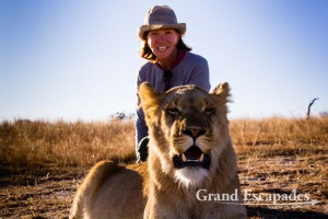 Walking with Lions, Antelope Park, near Gweru, Zimbabwe, Africa