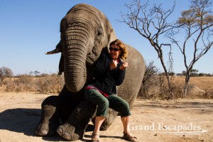 Training & Riding Elephants, Antelope Park, near Gweru, Zimbabwe, Africa