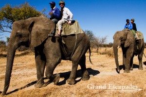 Training & Riding Elephants, Antelope Park, near Gweru, Zimbabwe, Africa