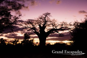 Gonarezhou National Park, Zimbabwe, Africa