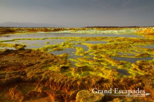 Sulphure formations of various colors and shapes, Dallol, Danakil Depression, Ethiopia