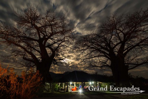 Bushman’s Baobabs Lodge at the edge of Liwonde National Park