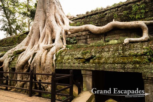 Ta Prohm, Siem Reap, Cambodia