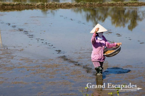 Around Hoi An, Vietnam