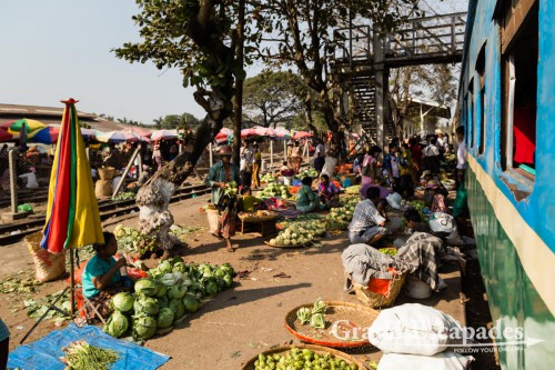 CircleLineYangon-102