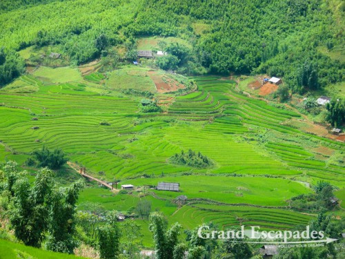 Rice Terraces near SaPa, in the Summer, North Vietnam