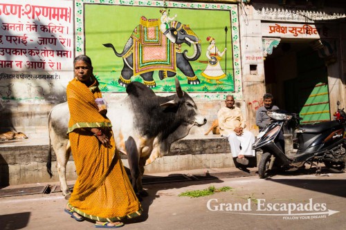 In the streets of Jodhpur, the Blue City, Rajasthan, India