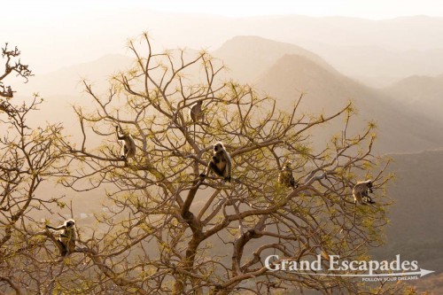 Udaipur-108