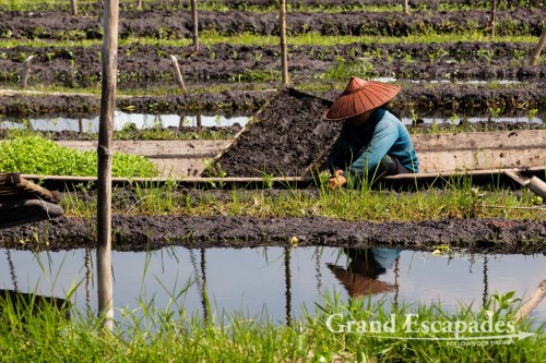 Floating gardens on Inle Lake, Myanmar