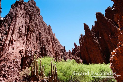 Canyon del Inca, near Tupiza, Bolivia, South America