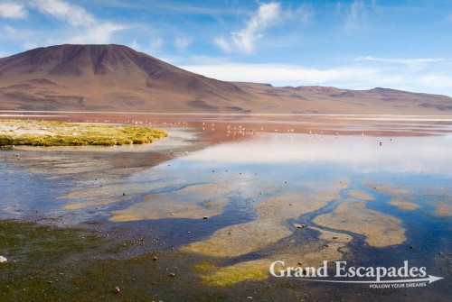 Bolivia Gallery