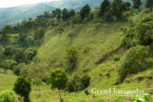 On the way to Tim`s Finca or Coffee farm