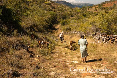 What a great walk! We left shortly before 9:00 am, because then the first part, which takes you straight down, is still in the shade. Later it got really hot and there is only one little farm along the whole 9 kilometers trail that had a sign outside ?se vende agua?. Otherwise we only ran into an elderly lady herding her goats that nibbled on shrubs