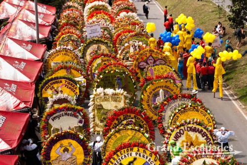 THE highlight of the festival is the ?Defile de Silleteros? on the Friday of the last weekend. Huge arrangements of flowers are carried through the centre of town by farmers from Santa Elena, where the ?Silletas? are ?created? of at least of 15 different kinds of flowers. The best are awarded and put on display on the Plaza Mayor for the last two days of the festival