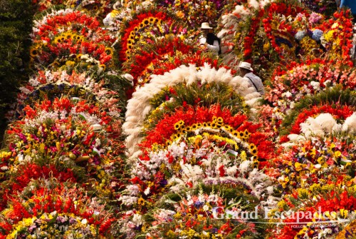 THE highlight of the festival is the ?Defile de Silleteros? on the Friday of the last weekend. Huge arrangements of flowers are carried through the centre of town by farmers from Santa Elena, where the ?Silletas? are ?created? of at least of 15 different kinds of flowers. The best are awarded and put on display on the Plaza Mayor for the last two days of the festival
