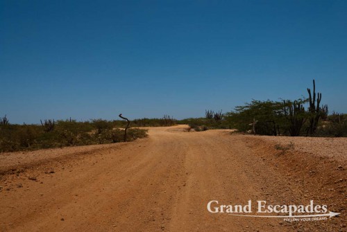 Who has not been to one of the many ?Ends of the world?? Ushuaia claims that title as many other places, but here on the tip of La Guajira, at the northernmost point of South America, it feels absolutely real.