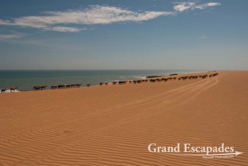 The next morning we set out for Taroa Beach, which even outdid Bahia Hondita. High-towering dunes roll into long stretches of golden sandy beaches. Naturally we tumbled, ran and slid down the dunes. Climbing up was less fun though. It was just us, and nobody anywhere near us