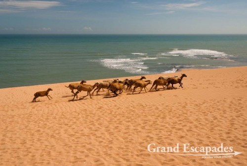 The next morning we set out for Taroa Beach, which even outdid Bahia Hondita. High-towering dunes roll into long stretches of golden sandy beaches. Naturally we tumbled, ran and slid down the dunes. Climbing up was less fun though. It was just us, and nobody anywhere near us
