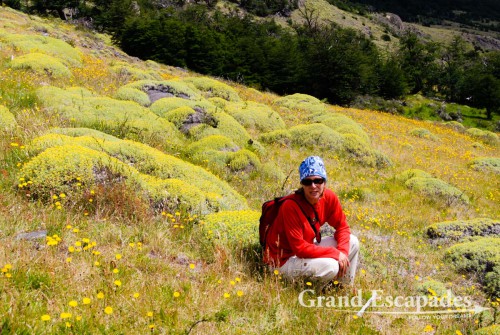 A pleasant 1.5 hour walk from El Chalten to a Mirador from where we could see at least parts of Fitz Roy, the surrounding mountains and the glacier on the bottom, El Chalten, South Patagonia, Argentina