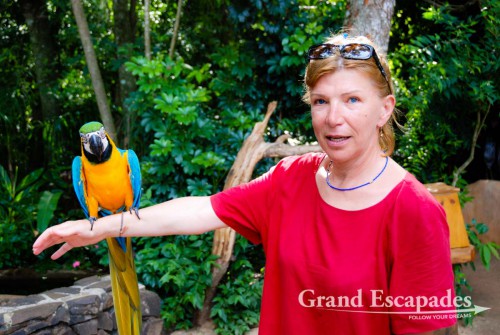 "Parque das Aves", Iguazu National Park, Brazil