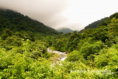 Coming from Tucuman, the road first runs through the gorge of Rio de los Sosas. Its steep slopes are covered with the most amazing, most dense, greenest subtropical forest ever