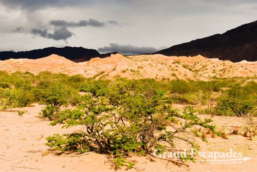 La Quebrada de Cafayate - A magic display of colours, dark red or pinkish hills and whitish cliffs with brown tops are often twisted into bizarre formations