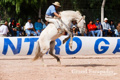 Crina Limpia - It is a gaucho trying to stay on a horse without a saddle, only holding on to a rope tied around the horse?s neck pushing his long spurs into the horse?s belly. The gaucho has to stay on the bucking horse for 13 seconds, otherwise he is disqualified - Maimara, near San Salvador de Jujuy, Northwest Argentina