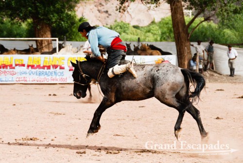 Crina Limpia - It is a gaucho trying to stay on a horse without a saddle, only holding on to a rope tied around the horse?s neck pushing his long spurs into the horse?s belly. The gaucho has to stay on the bucking horse for 13 seconds, otherwise he is disqualified - Maimara, near San Salvador de Jujuy, Northwest Argentina