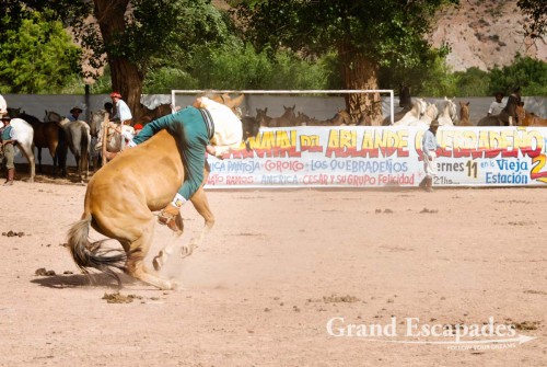 Crina Limpia - It is a gaucho trying to stay on a horse without a saddle, only holding on to a rope tied around the horse?s neck pushing his long spurs into the horse?s belly. The gaucho has to stay on the bucking horse for 13 seconds, otherwise he is disqualified - Maimara, near San Salvador de Jujuy, Northwest Argentina