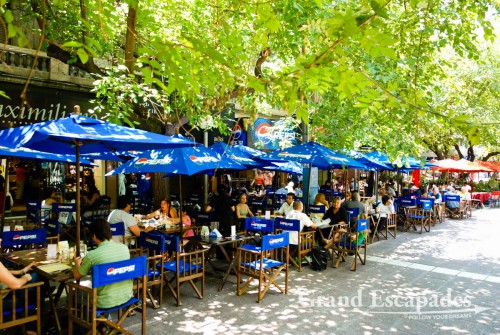 Our first impression was that this is the city of trees, trees, trees and wide avenues! All streets, which are unusually wide, are lined with tall trees providing the most needed shade for this city. The most pleasant area is the pedestrian mall with outside cafes and restaurants, Mendoza, Argentina
