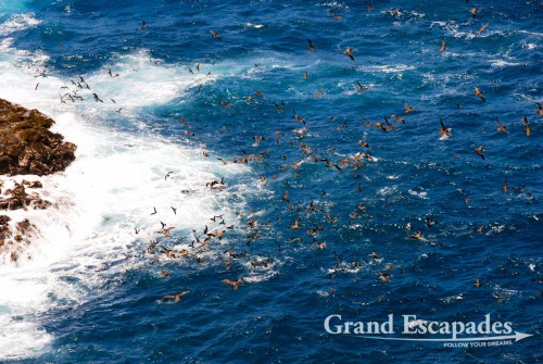 The West Coast of Fernando de Noronha National Park, Brazil