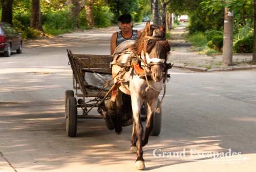 Horse cart, a typical means of transport in rural Bulgaria