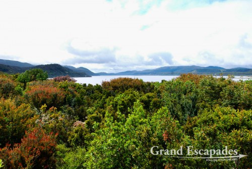 Chiloe National Park, Chiloe