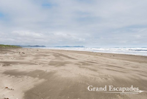 Chiloe National Park, Chiloe: view of the Pacific Ocean ...