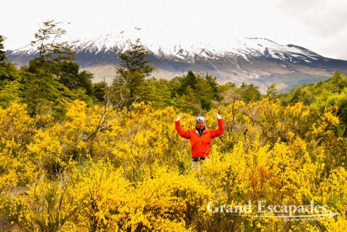 Volcano Osorno, near Lago Todos Los Sanctos and the city of Petrohue, Puerto Montt