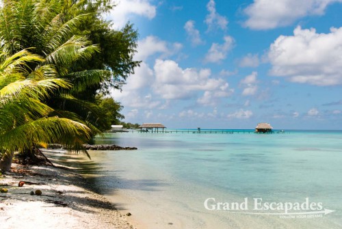 Fakarava Atoll, French Polynesia - The very name Tahiti probably triggers the wildest imaginations in most people, a tropical island with white sandy beaches lined with palm trees