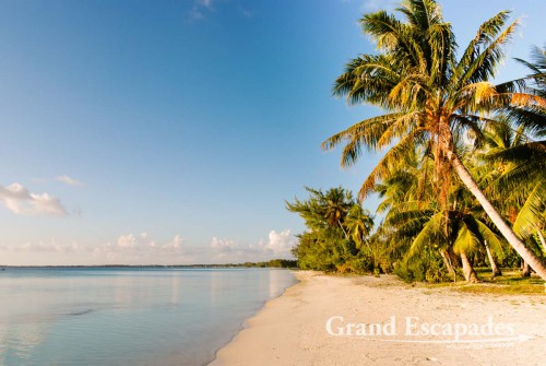 Fakarava Atoll, French Polynesia - The very name Tahiti probably triggers the wildest imaginations in most people, a tropical island with white sandy beaches lined with palm trees