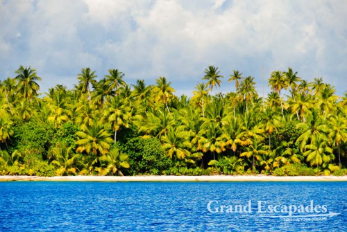 Fakarava Atoll, French Polynesia - The very name Tahiti probably triggers the wildest imaginations in most people, a tropical island with white sandy beaches lined with palm trees