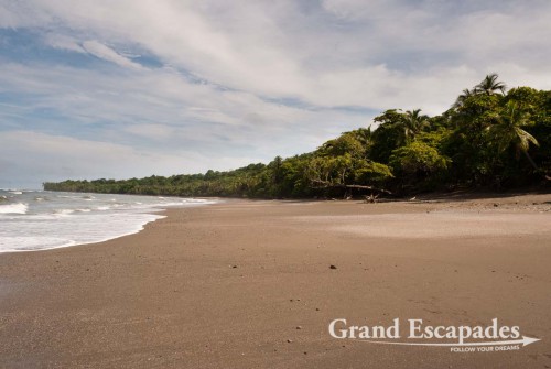 Situated on Punta Burica, on the western Pacific Coast next to the Costa Rican border, the 7 hectares of secondary forest of the Mono Feliz are next to a deserted beach - Golfo de Chiriqui, Panama