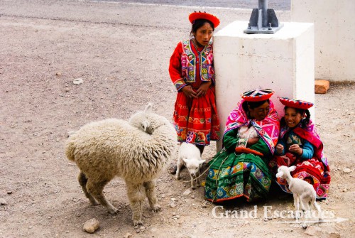 Local children posing with baby lamas for the tourists in La Raya, at 4.335 meters, Peru