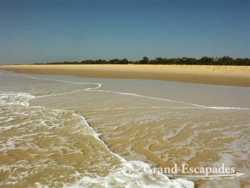 La Langue de Barbarie, another beautiful and deserted beach in Africa ... We enjoyed walking for hours along the beach in a total quietness!