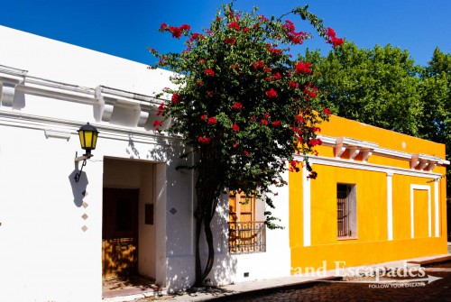Truly colonial as its name suggests with abundant vegetation and a Mediterranean flair ... The tranquil and shady cobblestone streets underline the romantic ambiance - Old Colonial City of Colonia, Uruguay